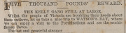 NEWSPAPER COVERAGE OF THE KELLY GANG - November 1878 to April 1881 A fascinating collection of 48 original complete newspapers, all of which provide significant coverage of the activities, capture, deaths and trial of the members of the Kelly Gang. - 4