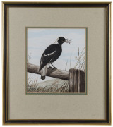 NEVILLE WILLIAM CAYLEY (1886-1950), magpie, watercolour, signed lower left "Neville Cayley, Sydney", ​23 x 21cm - 2