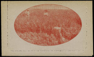 1922 2d red KGV Sideface perf.12½ grey unsurfaced card (BW:LC49): "PINEAPPLES QUEENSLAND" (pickers) [102B], fine Unused. Cat.$250.
