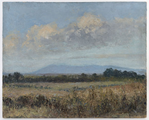 WALTER J. ANDERSON (working c1900-1930), landscape, oil on canvas, signed lower right "Walter J Anderson", date illegible, 43cm x 53cm