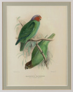 ROLAND GREEN (British, 1890-1972), four ornithological studies, colour lithograph, ​32 x23cm each - 2