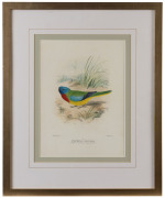 ROLAND GREEN (British, 1890-1972), four ornithological studies, colour lithograph, ​32 x23cm each - 4