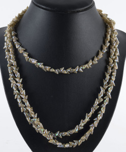 A Tasmanian mariner shell double strand necklace with gold clasp, 50cm long