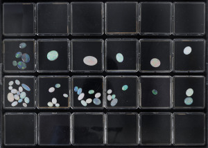 A collection of solid white opals, approximately 35ct, in black display case,