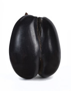 Coco De Mer sailor's box, Seychelles Islands, 19th century. Endemic only to the Seychelles the Coco De Mer nut is the largest known seed in existence and was highly coveted by sailors in the 18th and 19th century who prized it for its erotic appearance. I - 2