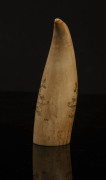 A scrimshaw whale's tooth with engraved Australian coat of arms titled "Australia", ​14cm high - 2