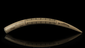 A scrimshaw walrus tusk cribbage board with comparment end and markers, 19th century, ​46cm long