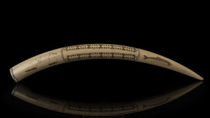 A scrimshaw walrus tusk cribbage board with comparment end and markers, 19th century, 46cm long