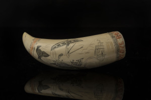 A scrimshaw whale's tooth engraved "Lagona - New Bedford, 371 ton, 31,409 Barrels Oil, 267058 Pds. Baleen", 13cm long