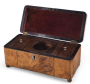 A Georgian tea caddy, tortoiseshell and sterling silver with brass bun feet and rosewood interior, English, early 19th century, 12cm high, 25cm wide, 12cm deep - 2