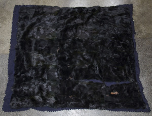 An antique bear skin rug with blue felt backing, 19th century, 165 x 135cm