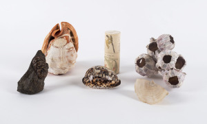Italian cameo carved shell, assorted shell specimens, ivory box and Australiana pottery applied to a rock, the ivory box 11cm high