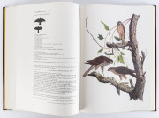 MORRIS, Frank T. Birds of Prey of Australia [Melbourne, Lansdowne Editions, 1973] 175pp, #190 from a limited edition of 500, signed by the artist. Hardcover, bound in full leather with gilt ruled borders, gilt lettering and ornate finish to spine. - 2