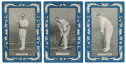 W.D. & H.O. Wills: 1909 'Australian & English Cricketers' (Blue borders; 'Capstan' & 'Vice Regal' backs), complete set [25]; G/VG. Cat.&pound;400.