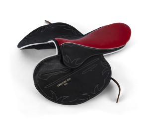 GREG HALL'S Presentation racing saddle awarded to him for his ride on "SUBZERO" in winning the Adelaide Cup in 1992. Subzero also won the South Australia Derby and went on to win the MELBOURNE CUP the same year, also carrying Greg Hall in his only Melbourne Cup win.