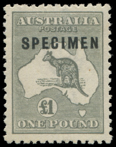 COMMONWEALTH OF AUSTRALIA: Kangaroos - Third Watermark: £1 Grey overprinted "SPECIMEN" Type C overprint variety "Shaved P" (early state, sub-type 2) excellent centring, mildly toned MUH gum, BW: 53xf - $2275 (extrapolated, for MUH).