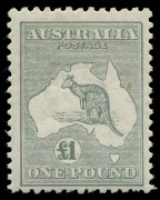COMMONWEALTH OF AUSTRALIA: Kangaroos - Third Watermark: &pound;1 Grey, faint tonespot, fine mint overall, BW.53 - $1000.