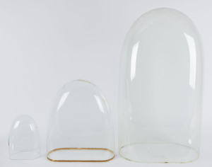 Three assorted glass domes (no bases), 19th century, one additional later base in black finish. 20cm, 36cm, 68cm high