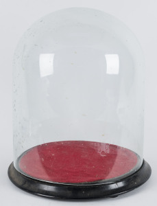 Victorian glass dome on base, 19th century, 32cm high