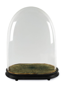 An antique French glass dome on original black wooden base with velvet lining, 19th century, 56cm high