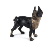 An American Boston Terrier doorstop by Hubley, painted cast iron, early 20th century, 25cm high, 25cm long