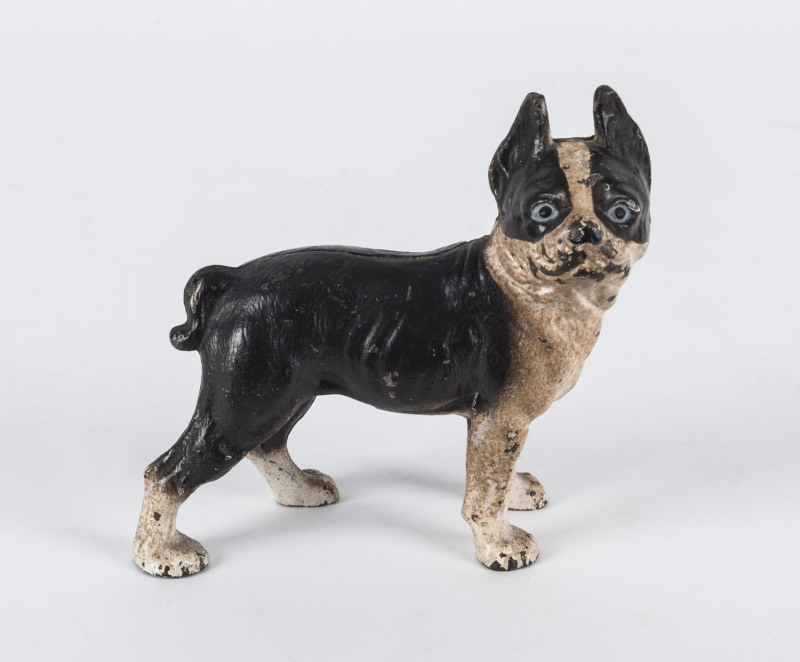 An American Boston Terrier moneybox by Hubley, painted cast iron, early 20th century, 13cm high