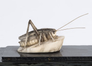 A Chinese carved ivory cricket cage with carved cricket on wooden base, Qing Dynasty, 19th century, 8cm high, 10cm wide, 6cm deep - 2