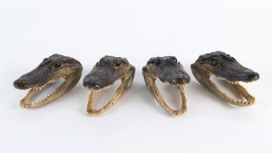 Four small taxidermy alligator heads, Louisiana, U.S.A. 20th century, the largest 16cm long