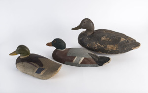 Three assorted vintage decoy ducks, 20th century, the largest 47cm long