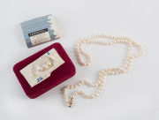 MIKIMOTO Japanese pearl necklace with gold clasp, with original box and papers, ​68cm long