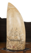 A Colonial scrimshaw desk set comprising of two sperm whale teeth engraved with tallships standing on a baleen and timber base inlaid with mother of pearl and tortoiseshell and adorned with whale bone. The baleen back plate engraved with a fine architectu - 3