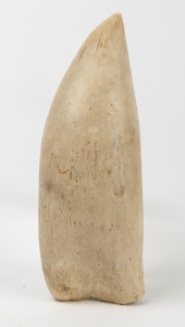 A sperm whale's tooth with hand polished finish, 19th century, 20cm high