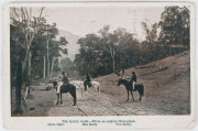 THE KELLY GANG: c1907 Regal Post Card Co. "The Kelly Gang. - From an original Photograph. Steve Hart, Dan Kelly, Ned Kelly." A frame from the famous Australian-made movie. 