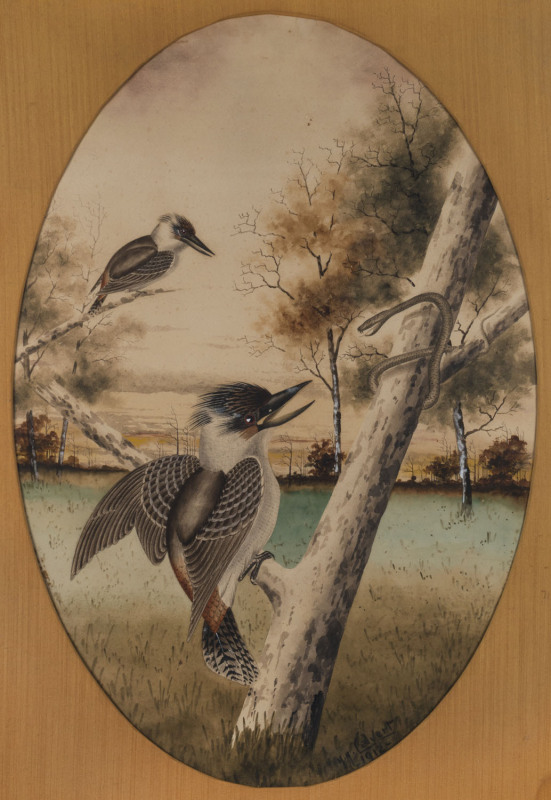 HERBERT HEPBURN CALVERT (1870-1923), Kookaburras with snake, watercolour, signed lower right "H.H. Calvert" 85 x 58cm