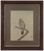 NEVILLE CAYLEY (1886-1950), Galah, watercolour, signed and dated lower right "Neville Cayley", 30 x 21cm - 2