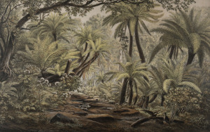 EUGENE VON GUERARD (1811-1901), FERNTREE GULLY, DANDENONG RANGES (VICTORIA), Hand coloured lithograph, signed in plate at lower left, 33 x 51cm