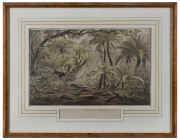 EUGENE VON GUERARD (1811-1901), FERNTREE GULLY, DANDENONG RANGES (VICTORIA), Hand coloured lithograph, signed in plate at lower left, 33 x 51cm - 2