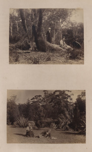 REV. HENRY PLUME (1851-1930), albumen photographic prints of the Reverend's travels in the Sydney district in the 1880s and 1890s, with views of his country home at Kurrajong, NSW. 124 photographs in a some what dilapidated album.