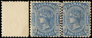 1903 (SG.242b) 9d Pale Blue Sideface, marginal pair (2) on V over Crown paper with double perfs. between gauging 12½ & 11. Selvedge separated. Mint. Cat. £1800.