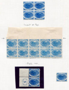 1880 (SG.F26) 1d Slate Platypus, marginal pair with Control no. together with blk.4 and 1930 printing on unwatermarked paper marginal blk.10 with variety imperforate at top. (17).