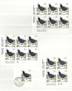 NEW ZEALAND: 1987 Birds Definitives mostly in Leigh Mardon imprint blocks of 6 MUH, values to $10 with various 'Kiwi' reprints, plus optd 'SPECIMEN' $1 to $10; range of other issues including $20 Glacier imprint block of 4 plus a single, few used oddments - 3