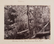 Fred KRUGER, Nicholas CAIRE, et al. A photograph album, circa 1880-1890, with subjects including aborigines, Melbourne, Geelong, Fiji, New Caledonia, New Zealand, Bombay, etc. - 7