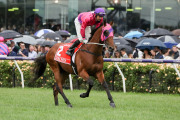 AAMI VICTORIA DERBY 2019, Horse No.2 (Barrier 2), SOUL PATCH, Jockey: D. Dunn, The unique number 2 saddlecloth, signed by Dwayne Dunn, accompanied by a letter of authenticity and limitation signed by Neil Wilson, CEO, Victoria Racing Club, Limited and the - 4