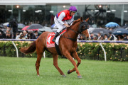 AAMI VICTORIA DERBY 2019, Horse No.4 (Barrier 10), WARNING, Jockey: D. Oliver, The unique number 4 saddlecloth, signed by Damien Oliver, accompanied by a letter of authenticity and limitation signed by Neil Wilson, CEO, Victoria Racing Club, Limited and t - 4