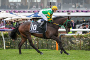 KENNEDY OAKS 2019 Horse No.10 (Barrier 5), NEVER LISTEN, Jockey: Darryl McLellan, The unique number 10 saddlecloth, signed by Darryl McLellan accompanied by a letter of authenticity and limitation signed by Neil Wilson, CEO, Victoria Racing Club, Limited - 4