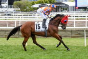 SEPPELT MACKINNON STAKES 2019 Horse No.15 (Barrier 15), MELODY BELLE, Jockey: Opie Bosson, The unique number 15 saddlecloth, signed by Opie Bosson accompanied by a letter of authenticity and limitation signed by Neil Wilson, CEO, Victoria Racing Club, Lim - 4