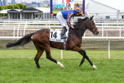 SEPPELT MACKINNON STAKES 2019 Horse No.14 (Barrier 9), MAGIC WAND, Jockey: Ryan Moore, The unique number 14 saddlecloth, signed by Ryan Moore accompanied by a letter of authenticity and limitation signed by Neil Wilson, CEO, Victoria Racing Club, Limited - 4