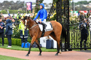 SEPPELT MACKINNON STAKES 2019 Horse No.1 (Barrier 13), HARTNELL, Jockey: Hugh Bowman, The unique number 1 saddlecloth, signed by Hugh Bowman accompanied by a letter of authenticity and limitation signed by Neil Wilson, CEO, Victoria Racing Club, Limited a - 4