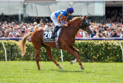 LEXUS MELBOURNE CUP 2019 Horse No.20 (Barrier 17), Il PARADISO, Jockey: W M Lordan, The unique number 20 saddlecloth, signed by W M Lordan accompanied by a letter of authenticity and limitation signed by Neil Wilson, CEO, Victoria Racing Club, Limited and - 4