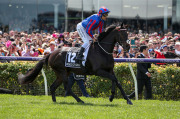 LEXUS MELBOURNE CUP 2019 Horse No 12 (Barrier 8), PRINCE OF ARRAN, Jockey: Michael Walker, The unique number 12 saddlecloth, signed by Michael Walker accompanied by a letter of authenticity and limitation signed by Neil Wilson, CEO, Victoria Racing Club, - 4